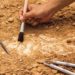 Invitan a la conferencia sobre arqueología en SLP