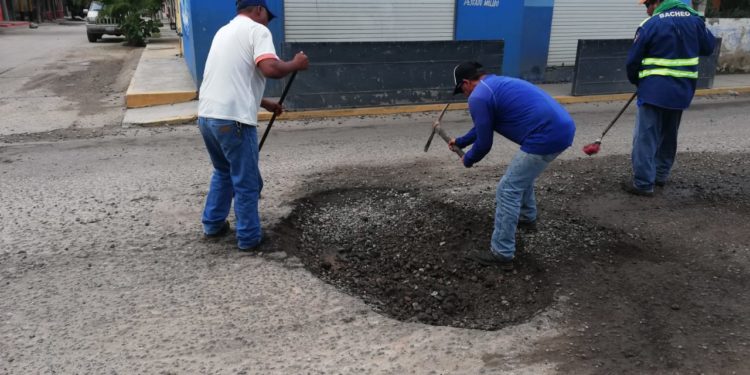 Servicios municipales intensifica trabajos de mantenimiento