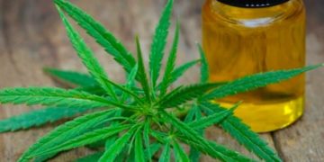 Mercado del cannabis en México dominado por el CBD