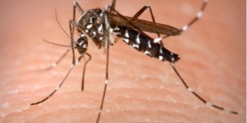 Más muertes por dengue en Guerrero