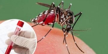Lucha contra el dengue comienza en casa: Secretaría de Salud