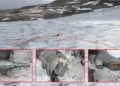 Se reducen glaciares suizos 10% en cinco años