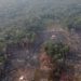 Modelo económico para salvar la Amazonia