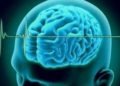 Cerebro humano reconoce una canción milisegundos después de oírla