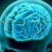 Cerebro humano reconoce una canción milisegundos después de oírla