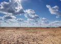 Mediterráneo en riesgo por aumento de temperatura