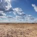 Mediterráneo en riesgo por aumento de temperatura