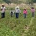 Apoyo al campo debe ser una prioridad