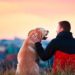 Mascotas ayudan a superar padecimientos emocionales