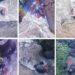 En total 11 elefantes murieron al tratar de salvar a cría