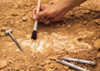 Invitan a conferencia sobre Arqueología en San Luis Potosí en el MAC