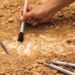 Invitan a conferencia sobre Arqueología en San Luis Potosí en el MAC
