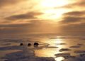 Hielo antártico documenta el efecto invernadero
