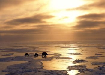 Hielo antártico documenta el efecto invernadero