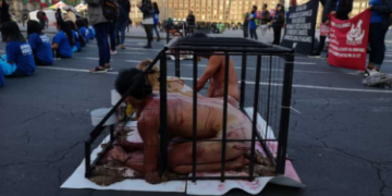 Protestan contra maltrato animal en Palacio Nacional