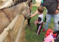 Convivir con animales fortalece el sistema inmune