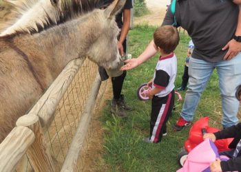 Convivir con animales fortalece el sistema inmune
