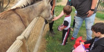 Convivir con animales fortalece el sistema inmune