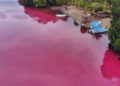 Laguna Manialtepec se torna de color ‘rosa’