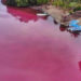Laguna Manialtepec se torna de color ‘rosa’