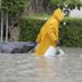 Lluvias de muy fuertes a intensas tendrán siete estados este viernes