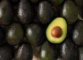 Se amplía el mercado del aguacate