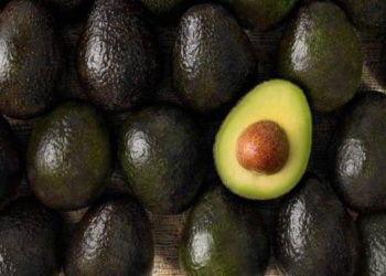 Se amplía el mercado del aguacate