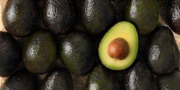 Se amplía el mercado del aguacate