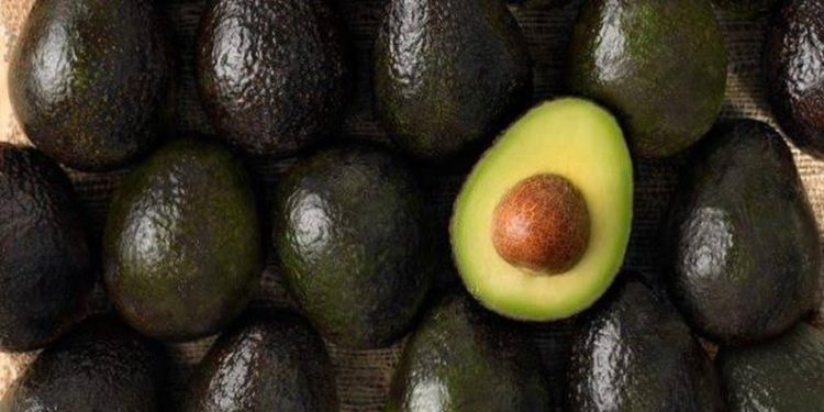 Se amplía el mercado del aguacate