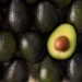 Se amplía el mercado del aguacate