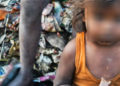 ‘Desperdicios’ alimentarían a 820 millones de personas en el mundo: ONU