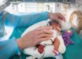 Bebés prematuros, un reto ya controlado