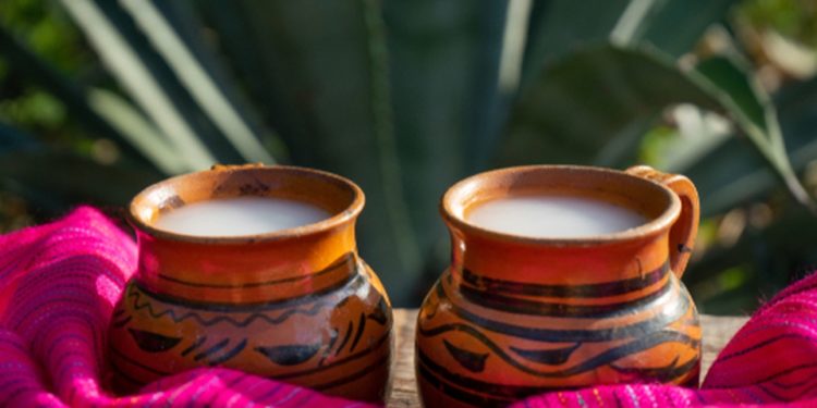 El pulque sigue siendo la bebida de los Dioses