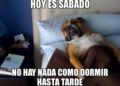 Si duermes más en tus fines de semana podrías alargar tu vida
