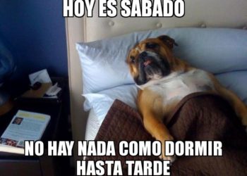 Si duermes más en tus fines de semana podrías alargar tu vida