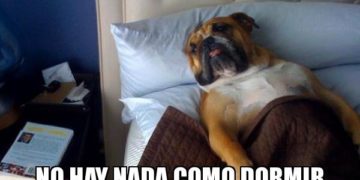 Si duermes más en tus fines de semana podrías alargar tu vida