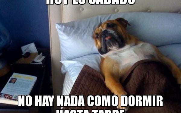 Si duermes más en tus fines de semana podrías alargar tu vida