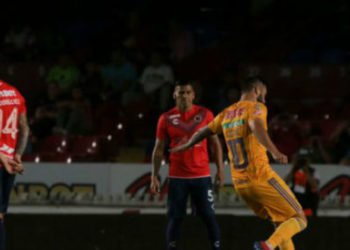 #VIDEO Provoca la victoria Tigres ante Veracruz sinfín de reacciones en redes