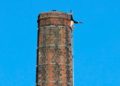 Fallece hombre en chimenea atrapado por más de 12 horas