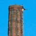 Fallece hombre en chimenea atrapado por más de 12 horas
