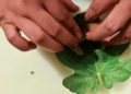 Alimentación diga que merecemos todos