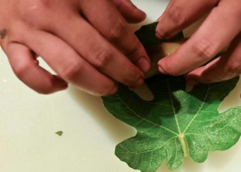 Alimentación diga que merecemos todos