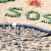 Crean museo de basura del Mar Mediterráneo