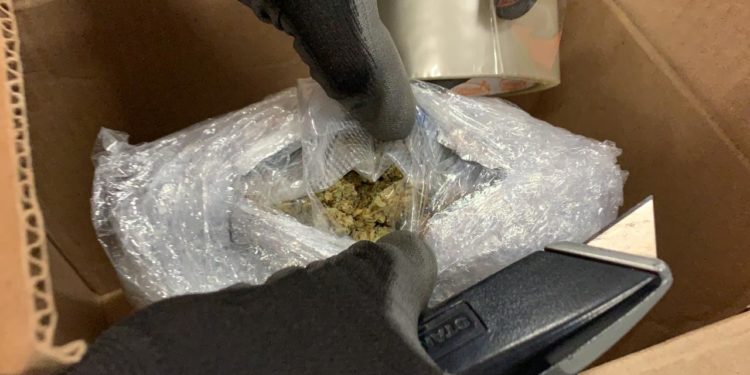 Ejército asegura drogas en aeropuerto de SLP