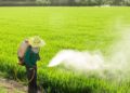 Industria de plaguicidas requiere inversión para desarrollar nueva molécula