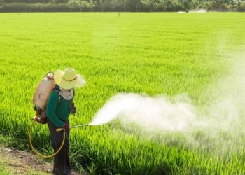 Industria de plaguicidas requiere inversión para desarrollar nueva molécula