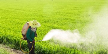 Industria de plaguicidas requiere inversión para desarrollar nueva molécula