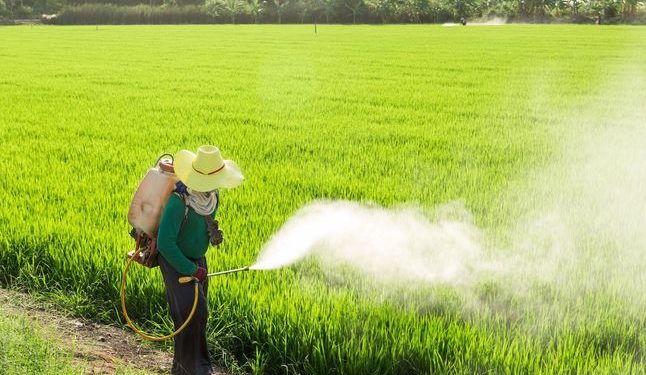 Industria de plaguicidas requiere inversión para desarrollar nueva molécula