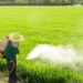Industria de plaguicidas requiere inversión para desarrollar nueva molécula