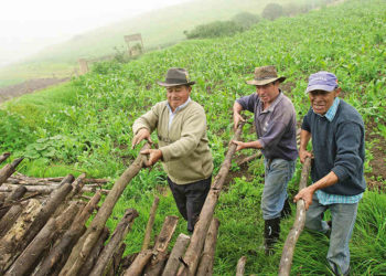 Sector agropecuario enfrenta una severa crisis: Dip. Vianey Montes C.